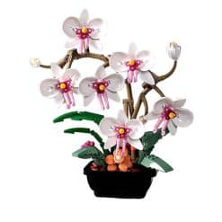 White Orchid Flower JAKI JK29012 Phalaenopsis Ideas Creator Botanical 518Pcs Building Blocks Kids Toy White Orchid Flower JAKI JK29012 Phalaenopsis Ideas Creator Botanical Building Blocks Kids Toy