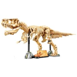 Dinosaur Fossils Tyrannosaurus rex 76968